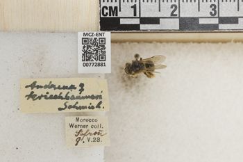 Media type: image;   Entomology 772881 Aspect: Labels